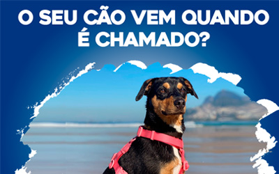 O seu cão vem quando é chamado?