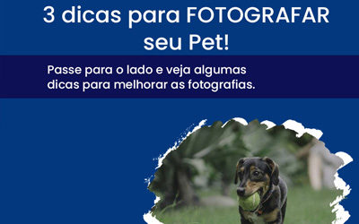 3 dicas para fotografar seu pet