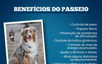 Benefícios do passeio!