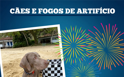 Cães e fogos de artifício