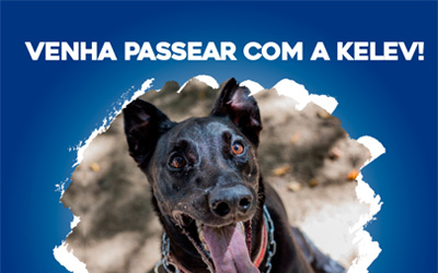 Venha passear com a Kelev!