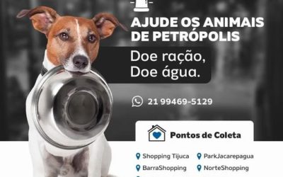 Ajude os animais de Petrópolis