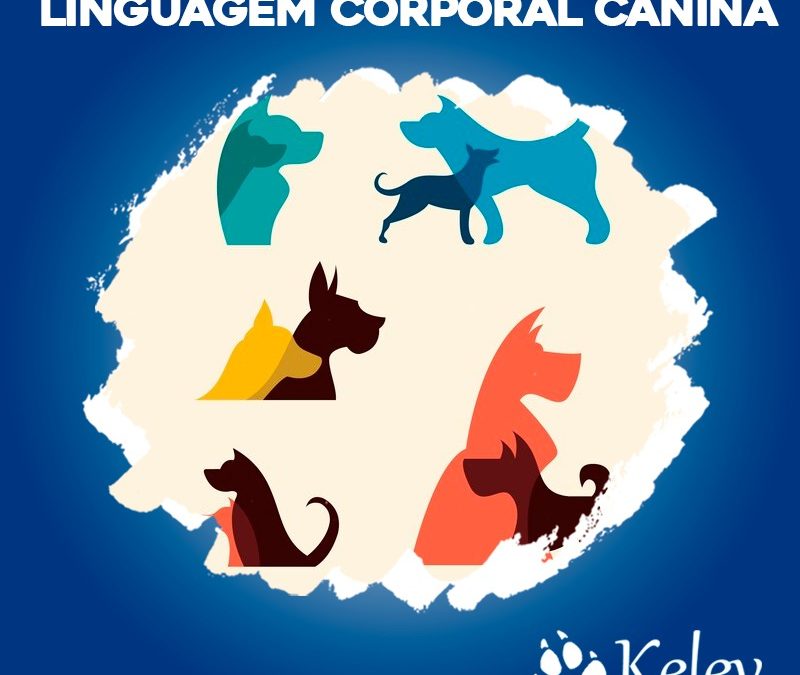 Linguagem corporal canina