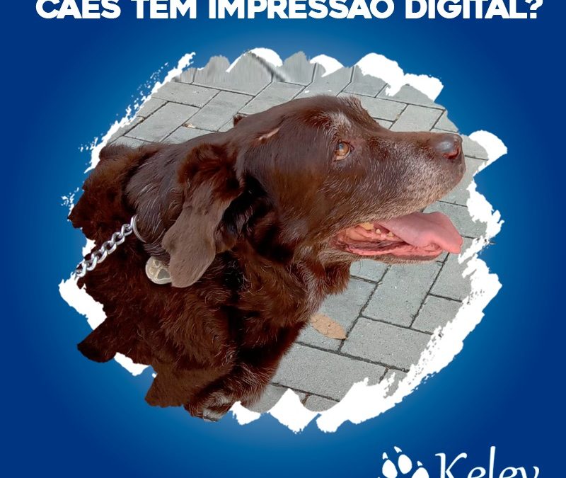 Cães têm impressão digital?