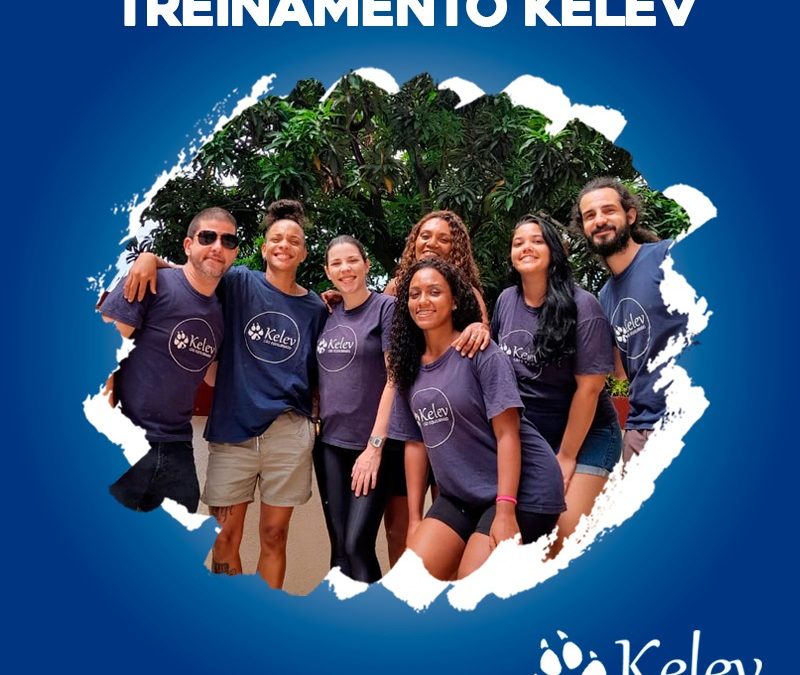 Treinamento Kelev