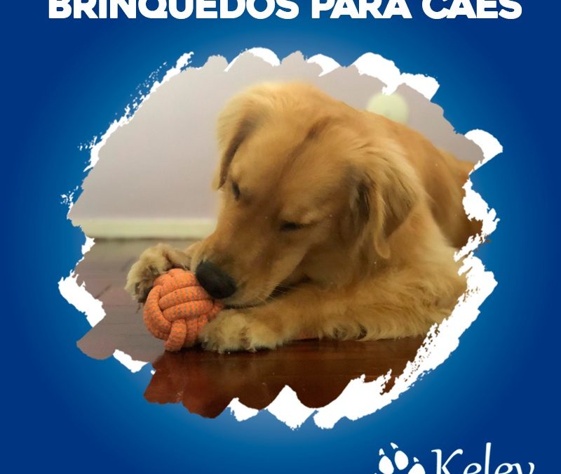 Brinquedos para cães